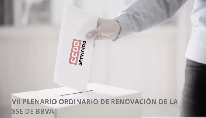 VII Plenario de la Sección Sindical de CCOO en BBVA